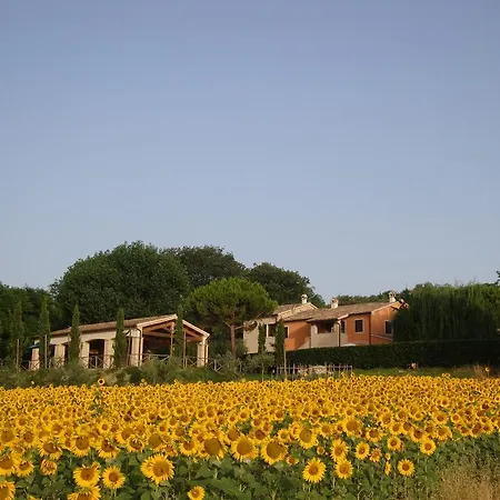 Rustico del Conero-3