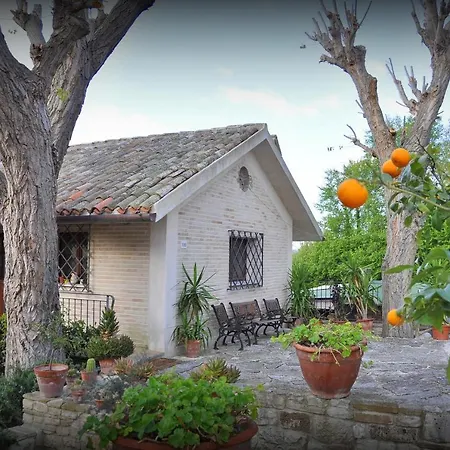 Rustico del Conero-2